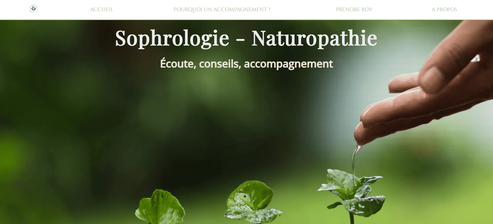 Une capture d'écran d'un site web